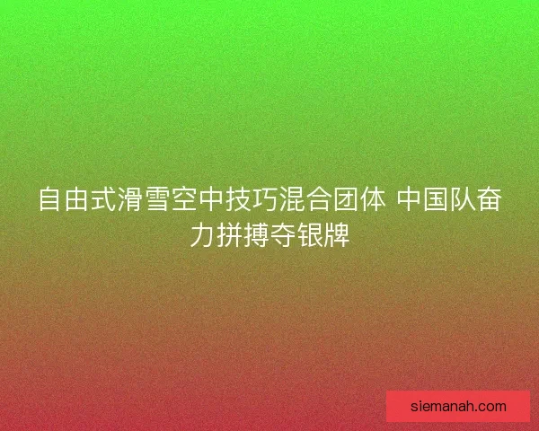 自由式滑雪空中技巧混合团体 中国队奋力拼搏夺银牌