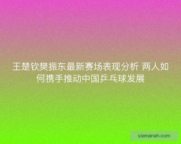 王楚钦樊振东最新赛场表现分析 两人如何携手推动中国乒乓球发展