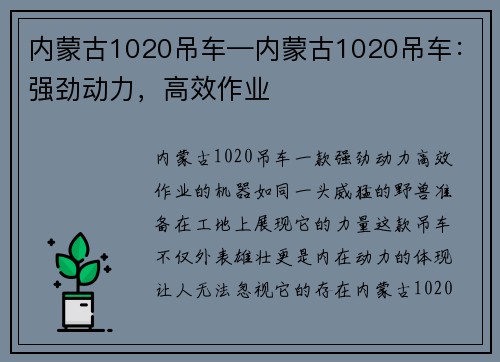 内蒙古1020吊车—内蒙古1020吊车：强劲动力，高效作业